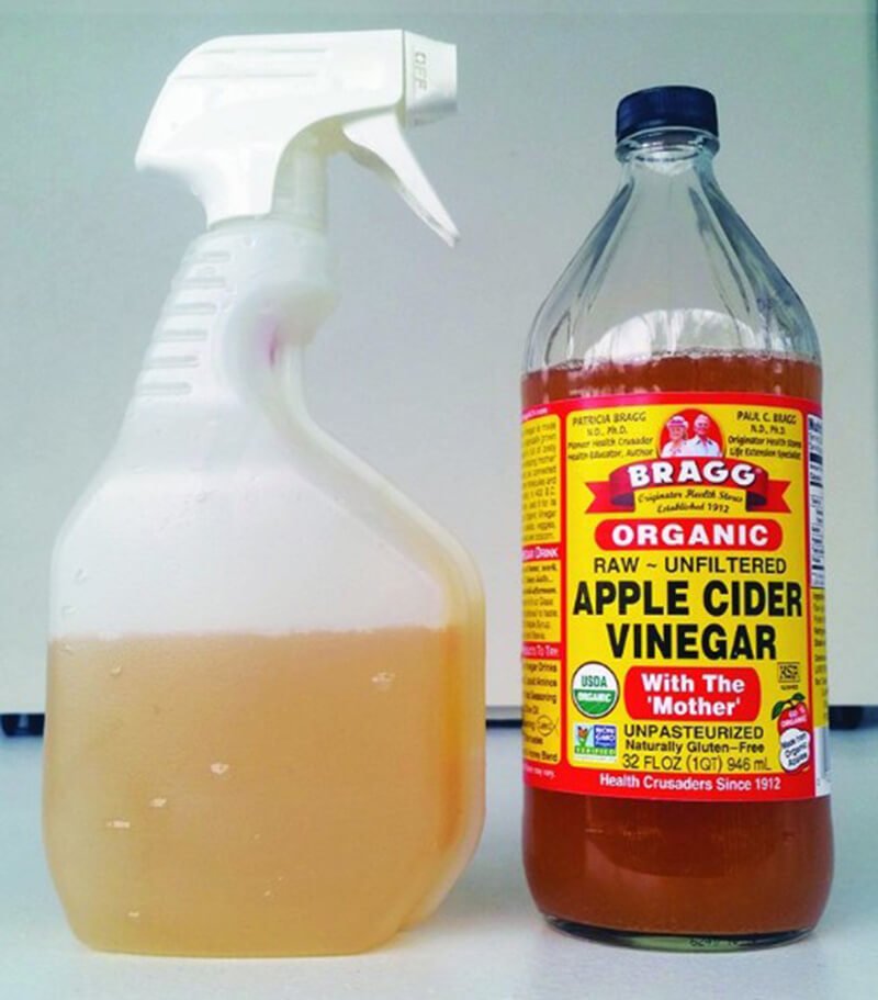 Apple Cider Vinegar for Dogs Proper Dosage