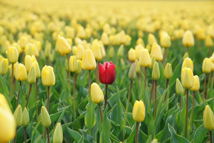 Stand Out in a Crowd With these Powerful Ways
