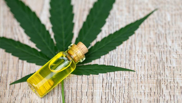 Different CBD Products That Can Help in Pain Relief