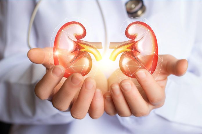 How To Prevent Kidney Failure