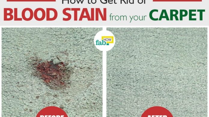 How to Get Blood out of Carpet